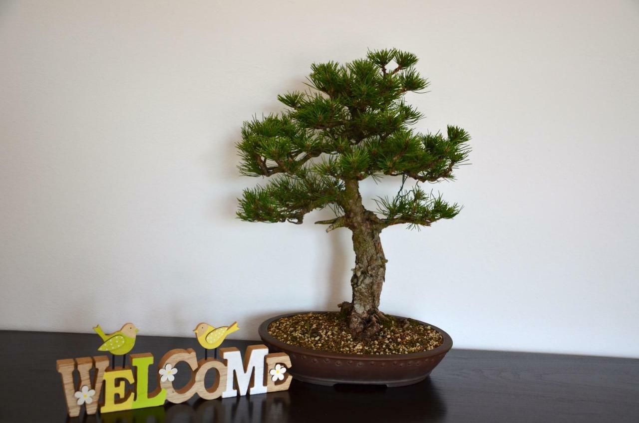 포르토로즈 Bonsai House 아파트 외부 사진
